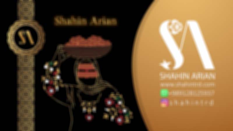 shahin-video1 shahin-video1